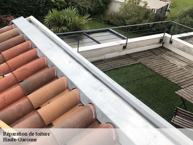Réparation de toiture Haute-Garonne 
