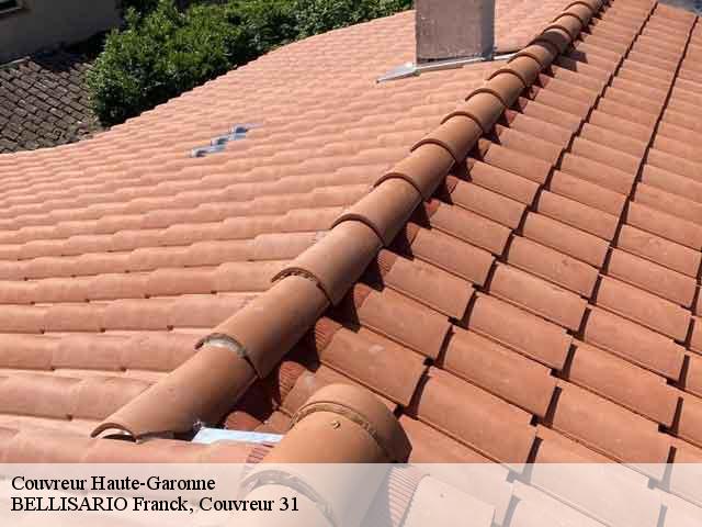 Couvreur 31 Haute-Garonne BELLISARIO Franck, Couvreur 31