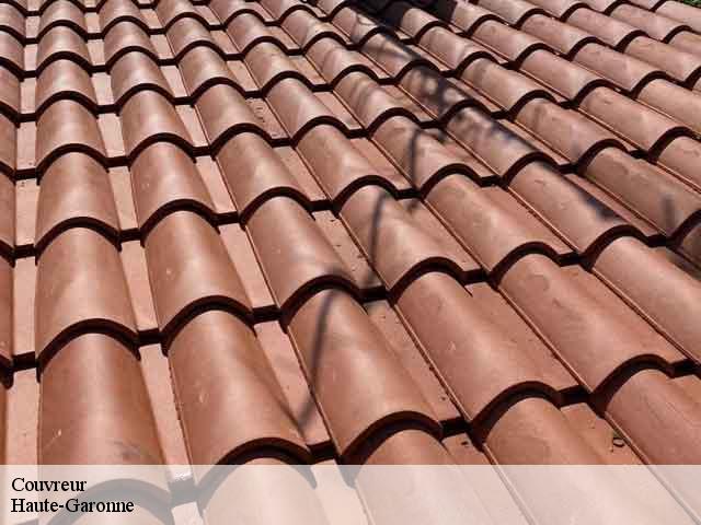 Couvreur 31 Haute-Garonne BELLISARIO Franck, Couvreur 31