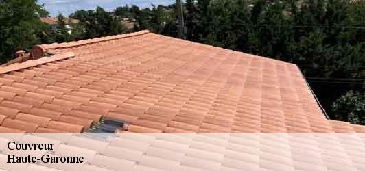 Couvreur 31 Haute-Garonne BELLISARIO Franck, Couvreur 31