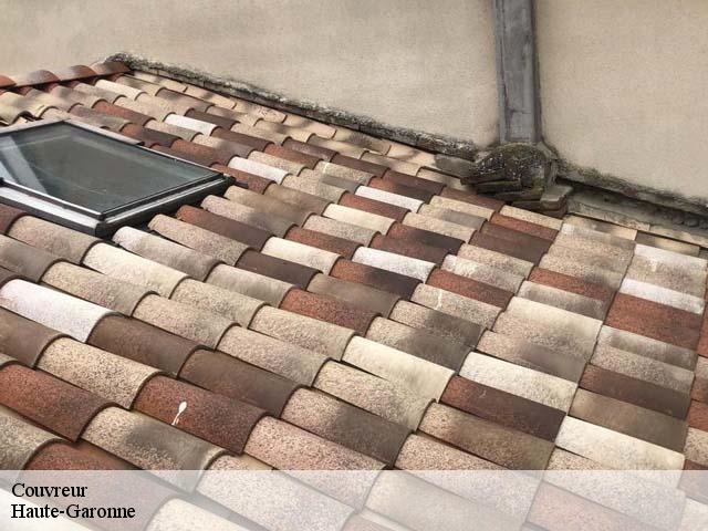 Couvreur 31 Haute-Garonne Couverture Midi Pyrénées