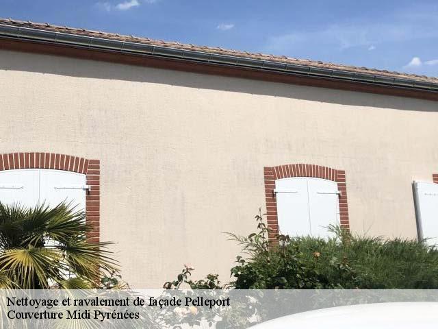 Nettoyage et ravalement de façade  pelleport-31480 Couverture Midi Pyrénées