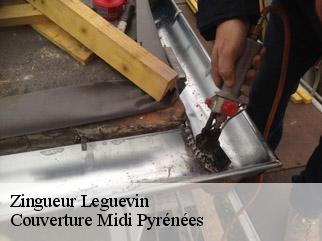 Zingueur  leguevin-31490 Couverture Midi Pyrénées