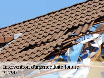 Intervention d'urgence fuite toiture 31790