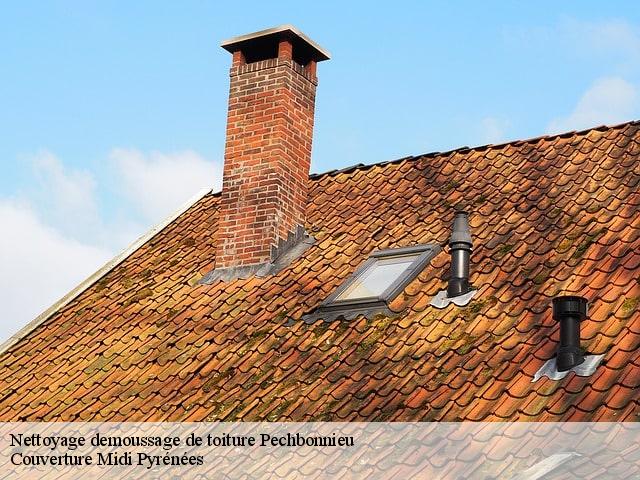 Nettoyage demoussage de toiture  pechbonnieu-31140 Couverture Midi Pyrénées